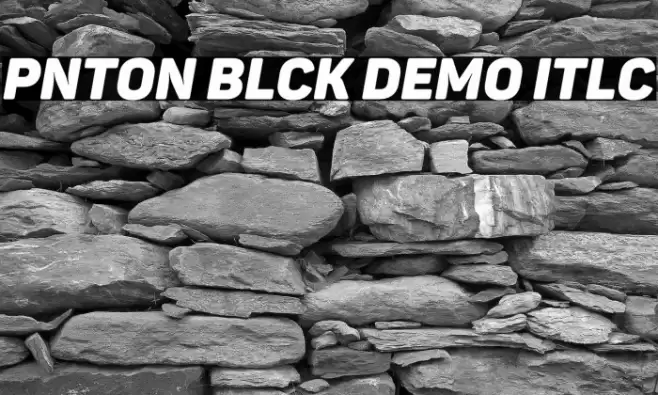 Panton Black Demo Italic Font examples