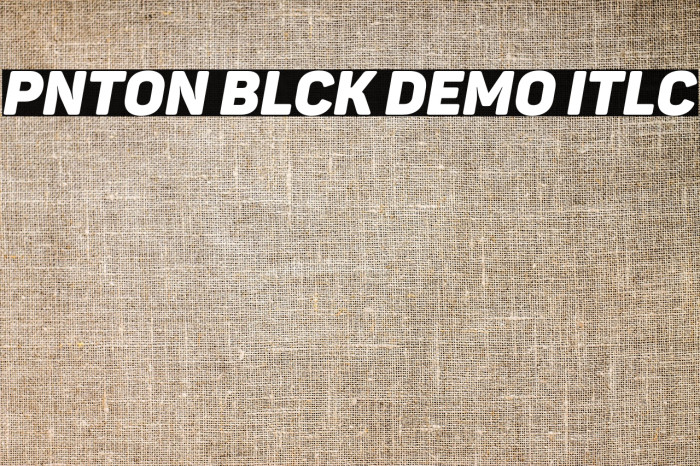 Panton Black Demo Italic Example 2