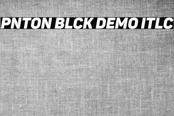 Panton Black Demo Italic Font examples