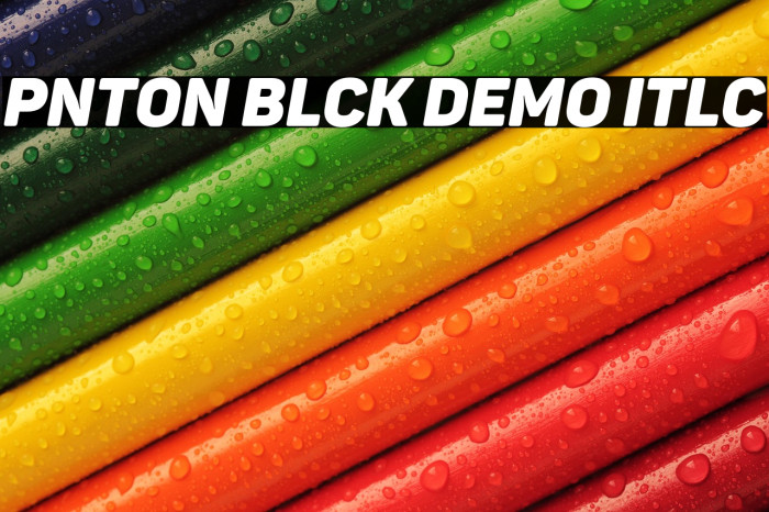 Panton Black Demo Italic Example 3