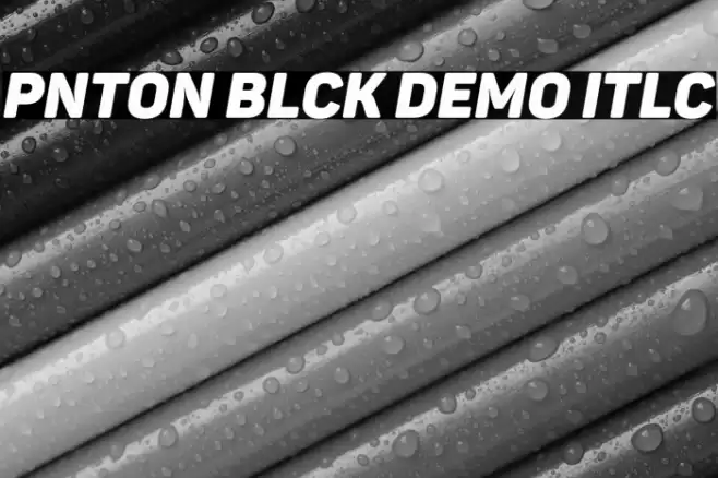 Panton Black Demo Italic Font examples