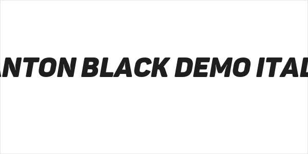 Panton Black Demo Italic Logo