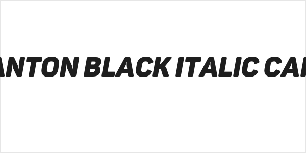 Panton Black italic Caps Logo