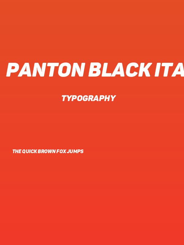 Panton Black italic Caps Poster