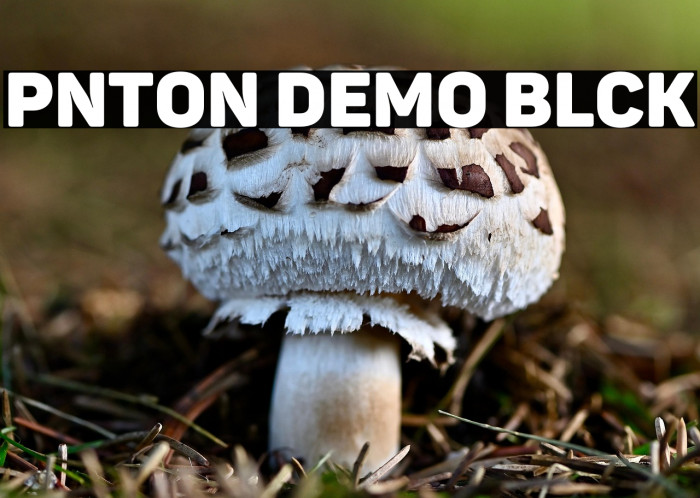 Panton Demo Black Example 1