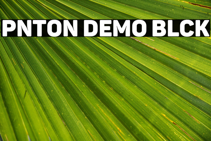 Panton Demo Black Example 2