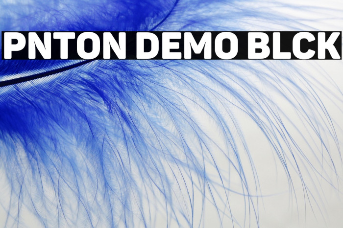 Panton Demo Black Example 3