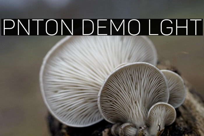 Panton Demo Light Example 1