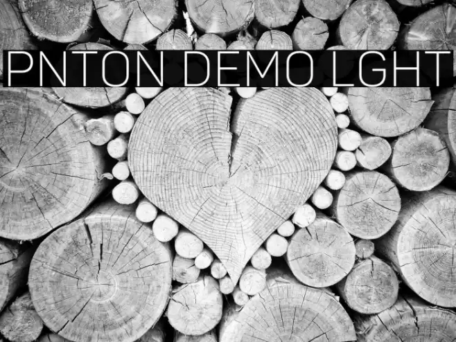 Panton Demo Light Font examples