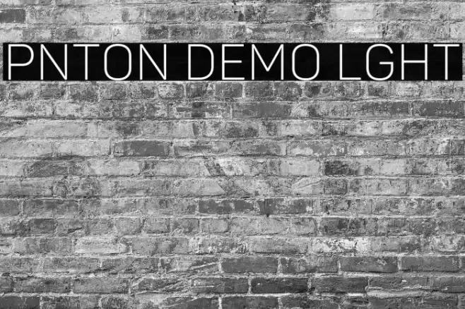 Panton Demo Light Font examples