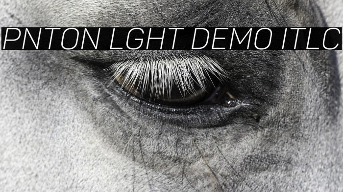 Panton Light Demo Italic Example 3