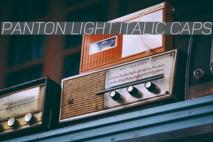 Panton Light italic Caps Font examples