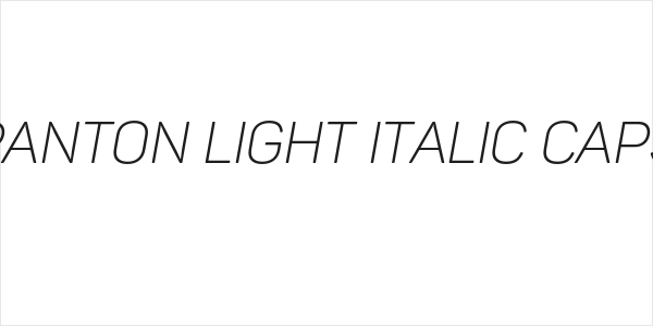 Panton Light italic Caps Logo
