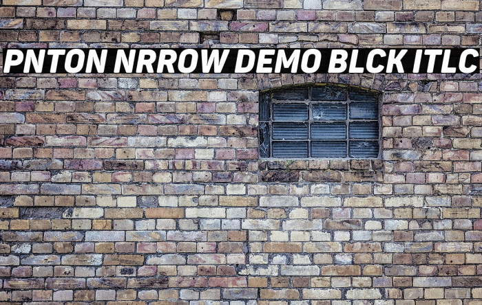 Panton Narrow Demo Black Italic Example 1