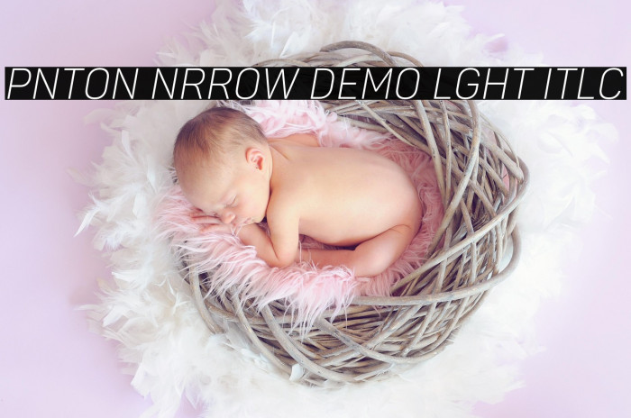 Panton Narrow Demo Light Italic Example 1