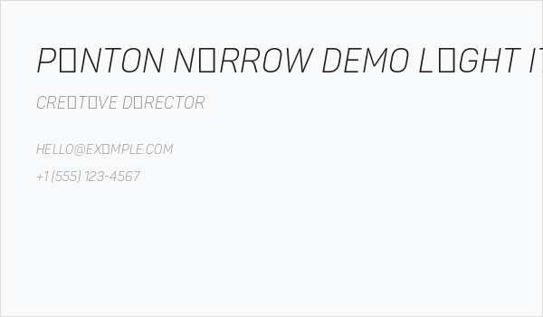 Panton Narrow Demo Light Italic Business Card