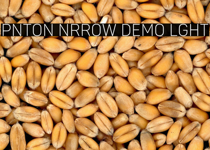 Panton Narrow Demo Light Example 1