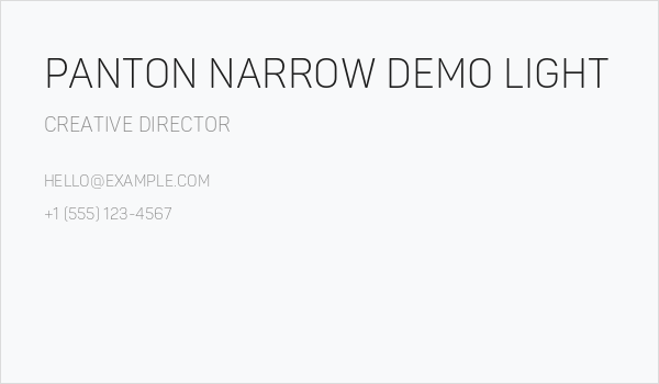 Panton Narrow Demo Light Business Card