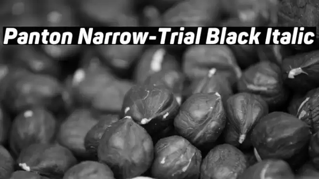 Panton Narrow-Trial Black Italic Font examples