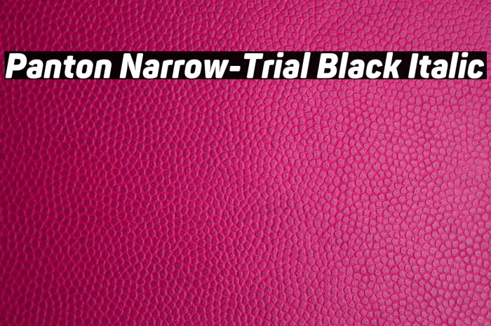 Panton Narrow-Trial Black Italic Example 3