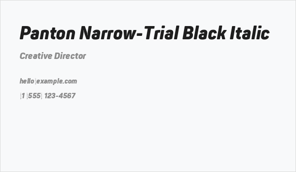 Panton Narrow-Trial Black Italic Business Card