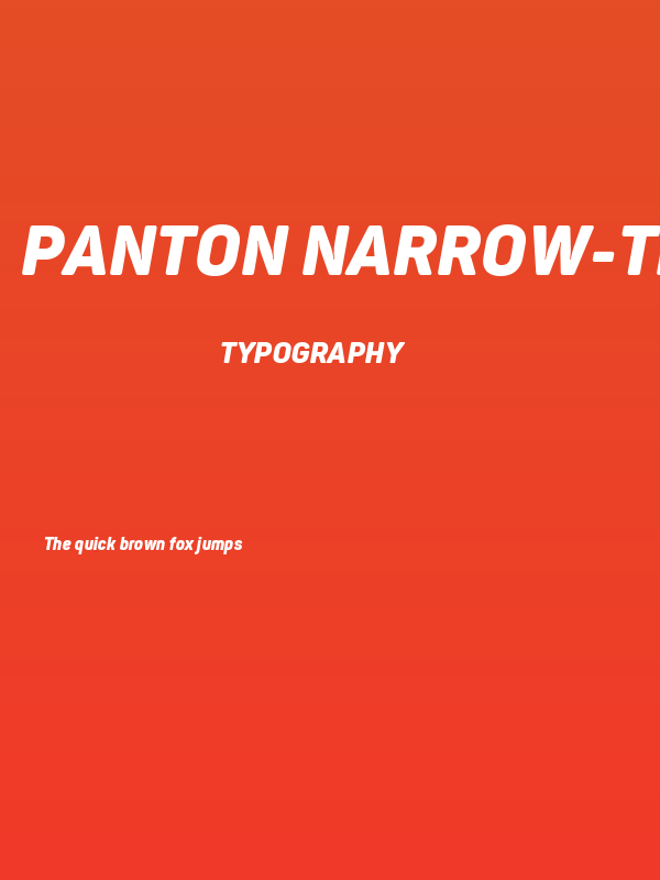Panton Narrow-Trial Black Italic Poster