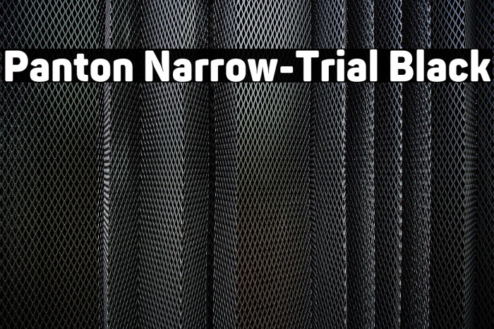 Panton Narrow-Trial Black Example 1
