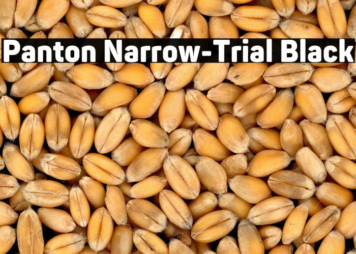 Panton Narrow-Trial Black Example 2