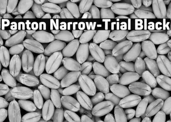 Panton Narrow-Trial Black Font examples