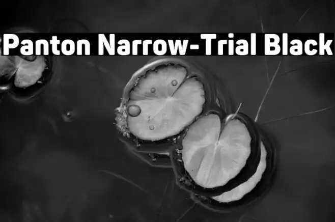 Panton Narrow-Trial Black Font examples