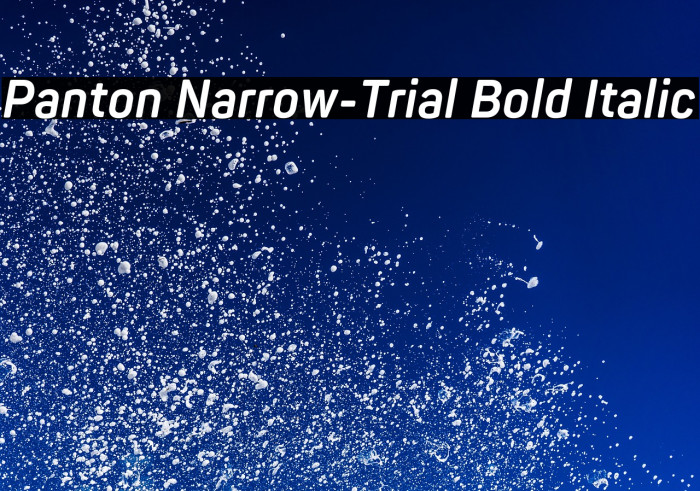 Panton Narrow-Trial Bold Italic Example 1