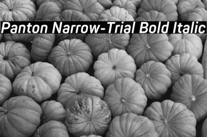 Panton Narrow-Trial Bold Italic Font examples