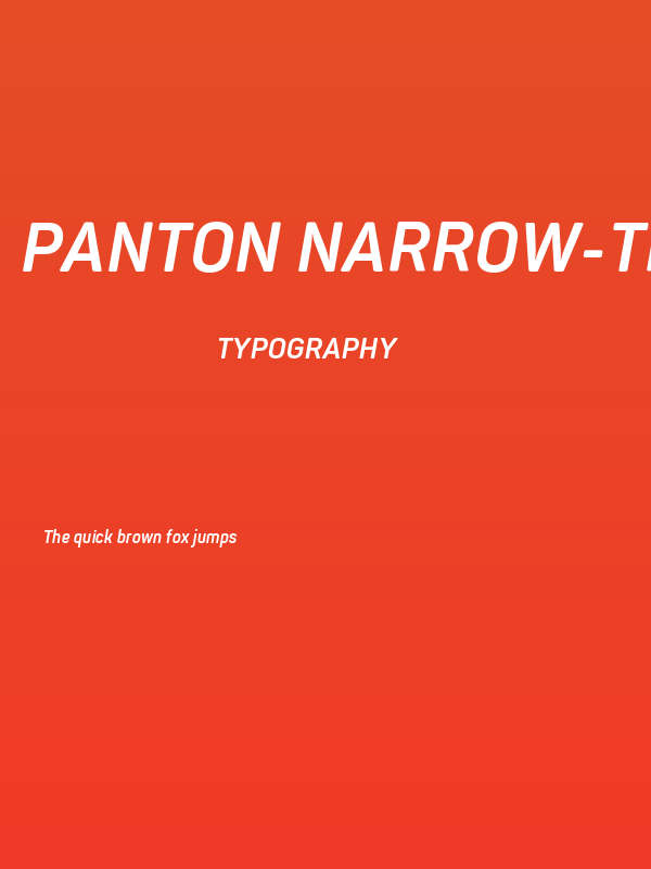 Panton Narrow-Trial Bold Italic Poster