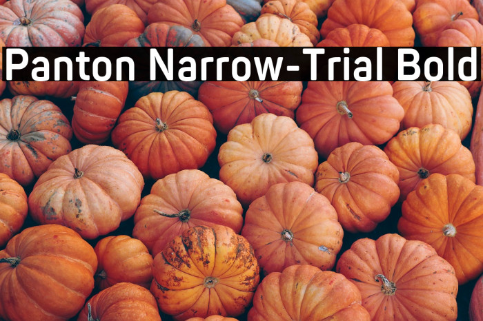 Panton Narrow-Trial Bold Example 1