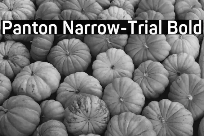 Panton Narrow-Trial Bold Font examples