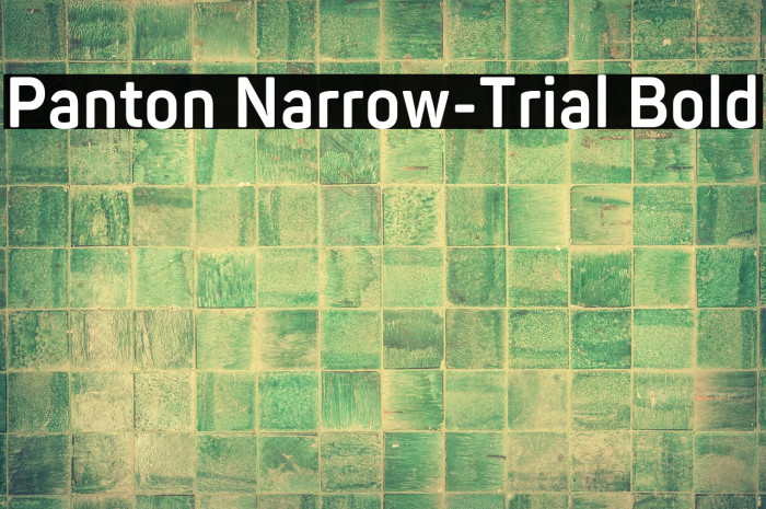 Panton Narrow-Trial Bold Example 2