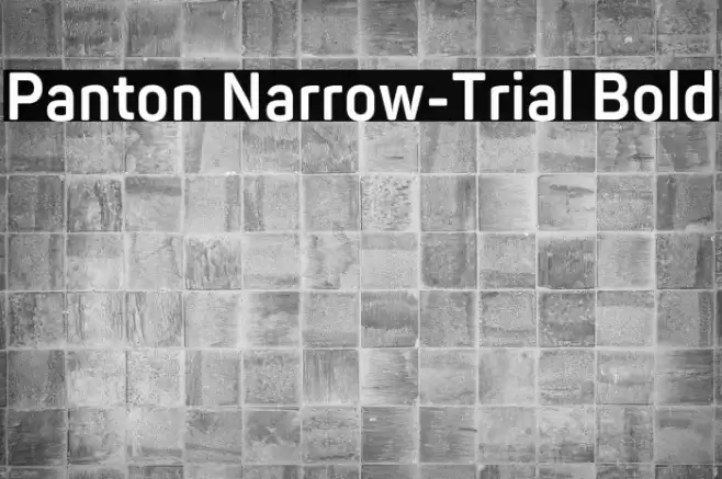 Panton Narrow-Trial Bold Font examples