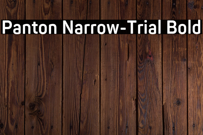 Panton Narrow-Trial Bold Example 3