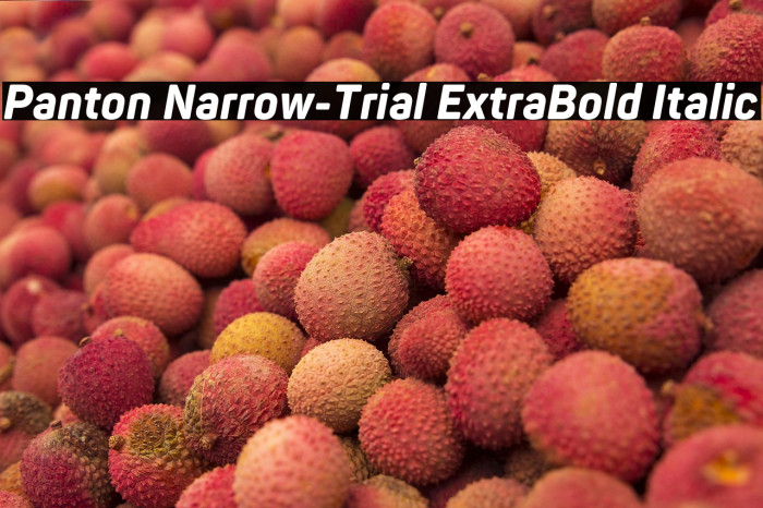 Panton Narrow-Trial ExtraBold Italic Example 1