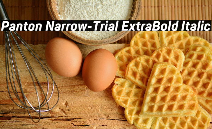 Panton Narrow-Trial ExtraBold Italic Example 2