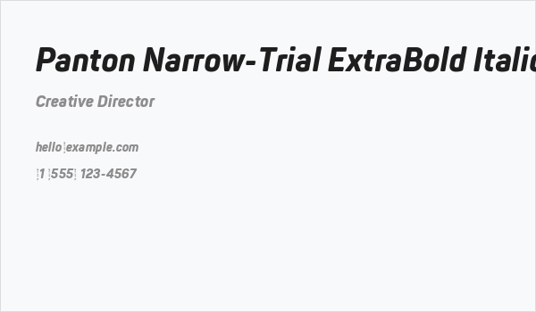 Panton Narrow-Trial ExtraBold Italic Business Card