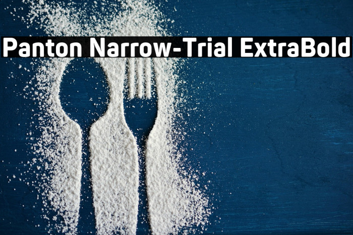 Panton Narrow-Trial ExtraBold Example 1