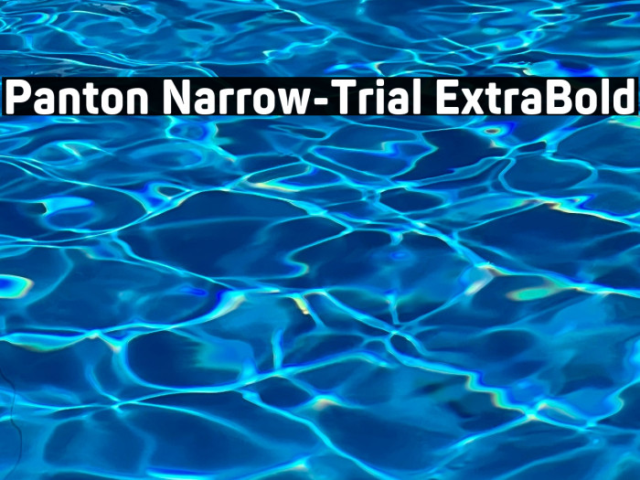 Panton Narrow-Trial ExtraBold Example 3