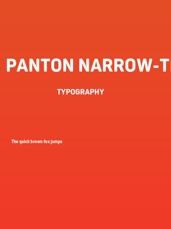 Panton Narrow-Trial ExtraBold Poster