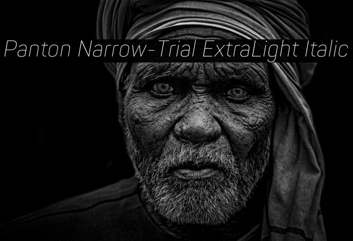 Panton Narrow-Trial ExtraLight Italic Example 1