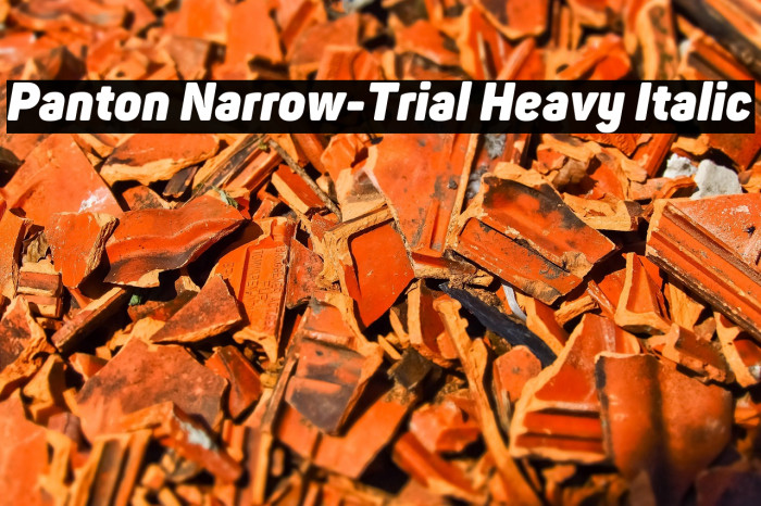 Panton Narrow-Trial Heavy Italic Example 1