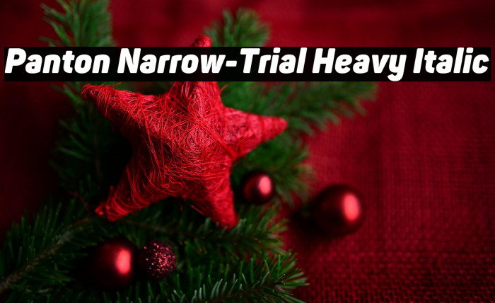 Panton Narrow-Trial Heavy Italic Example 3