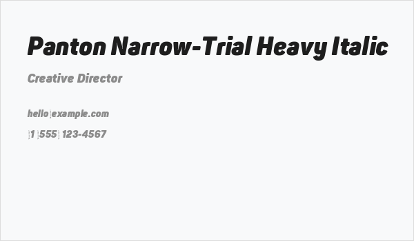 Panton Narrow-Trial Heavy Italic Business Card
