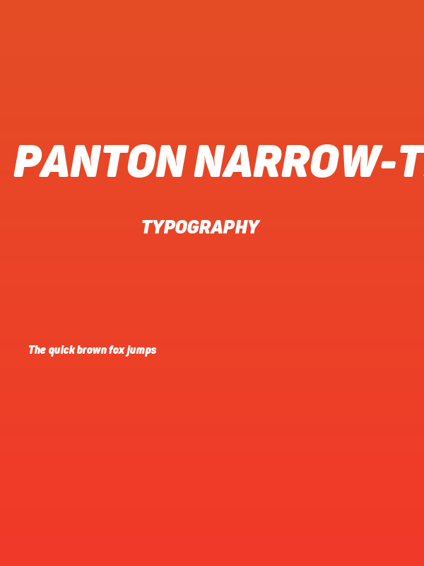 Panton Narrow-Trial Heavy Italic Poster