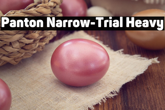 Panton Narrow-Trial Heavy Example 1